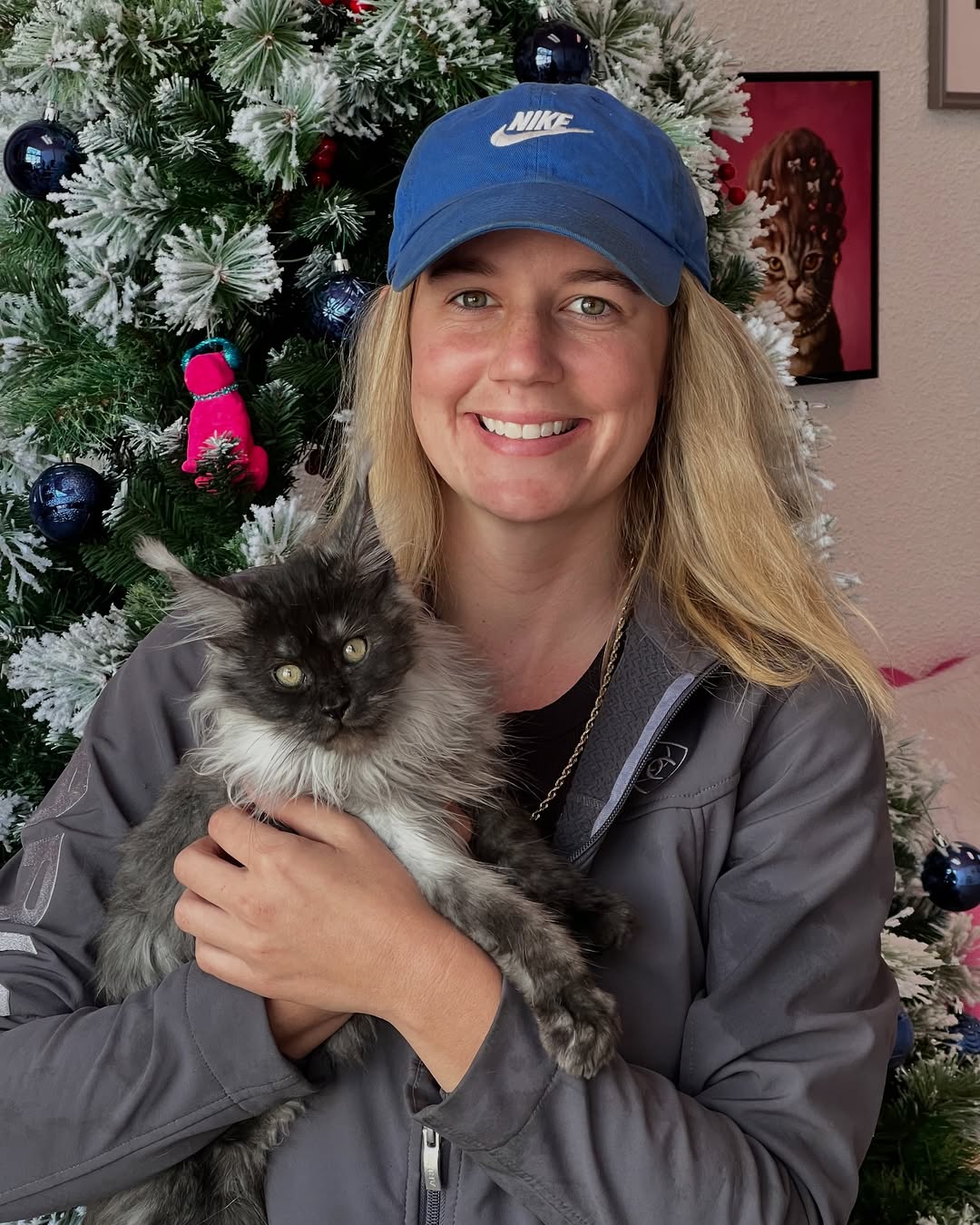 Another boy has found his family❤️❤️❤️his mom drove 5 hours to meet him#mainecoonusa #mainecoonf