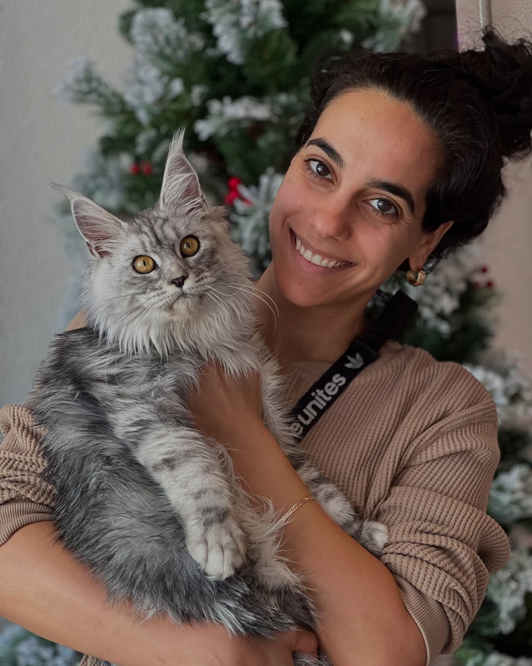 Now Avrora went to new home. ❤️❤️❤️ Happy life my baby❤️#cat #mainecoon #mainecoonmiami #maineco